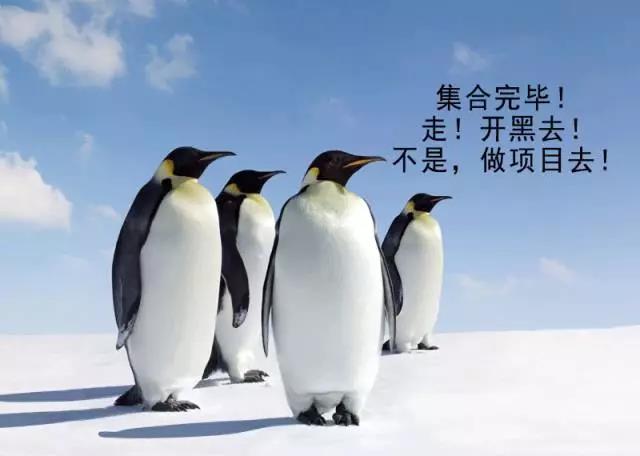 微信图片_20200701162255.jpg