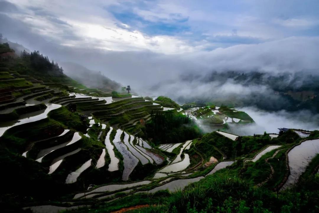 微信图片_20210701100824.jpg 微信图片_20210701100824.jpg